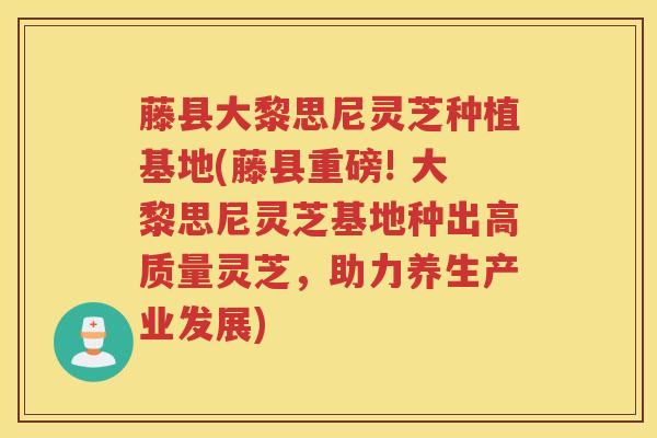 藤县大黎思尼灵芝种植基地(藤县重磅! 大黎思尼灵芝基地种出高质量灵芝，助力养生产业发展)