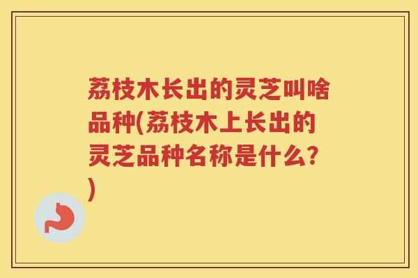 荔枝木长出的灵芝叫啥品种(荔枝木上长出的灵芝品种名称是什么？)