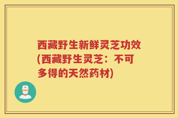 西藏野生新鲜灵芝功效(西藏野生灵芝:不可多得的天然药材) 西藏野生新鲜灵芝功效(西藏野生灵芝:不可多得的天然药材)