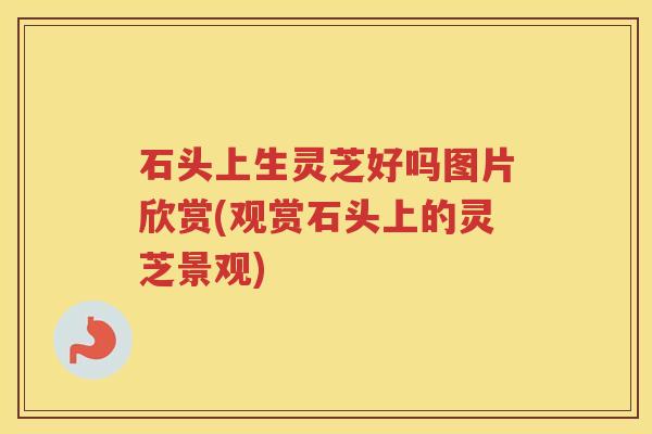 石头上生灵芝好吗图片欣赏(观赏石头上的灵芝景观)