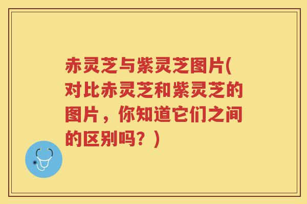 赤灵芝与紫灵芝图片(对比赤灵芝和紫灵芝的图片，你知道它们之间的区别吗？)