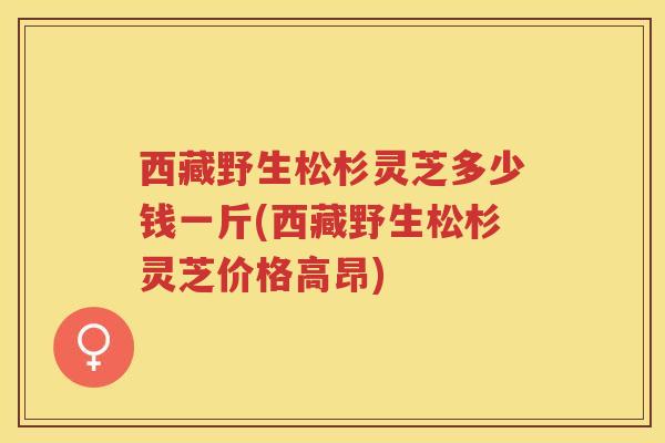 西藏野生松杉灵芝多少钱一斤(西藏野生松杉灵芝价格高昂)