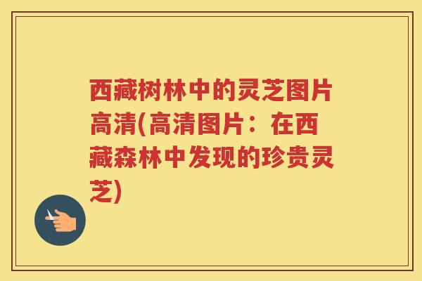 西藏树林中的灵芝图片高清(高清图片：在西藏森林中发现的珍贵灵芝)