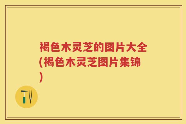 褐色木灵芝的图片大全(褐色木灵芝图片集锦)