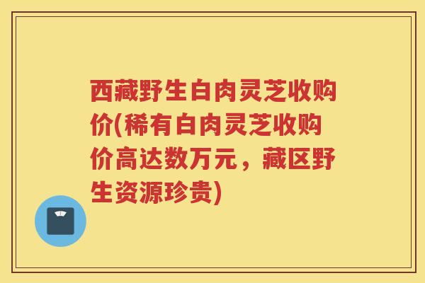 西藏野生白肉灵芝收购价(稀有白肉灵芝收购价高达数万元,藏区野生资源珍贵) 西藏野生白肉灵芝收购价(稀有白肉灵芝收购价高达数万元,藏区野生资源珍贵)