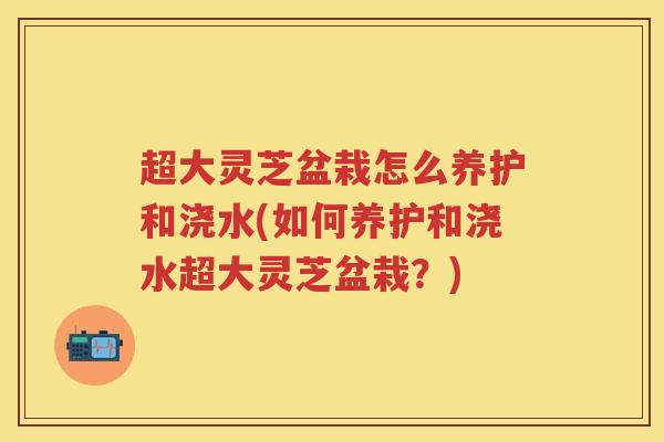 超大灵芝盆栽怎么养护和浇水(如何养护和浇水超大灵芝盆栽？)