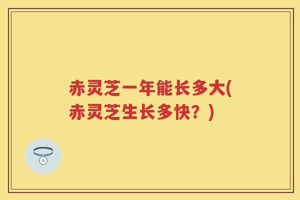 赤灵芝一年能长多大(赤灵芝生长多快？)