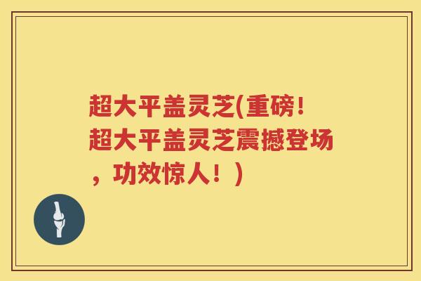 超大平盖灵芝(重磅!超大平盖灵芝震撼登场,功效惊人!) 超大平盖灵芝(重磅!超大平盖灵芝震撼登场,功效惊人!)