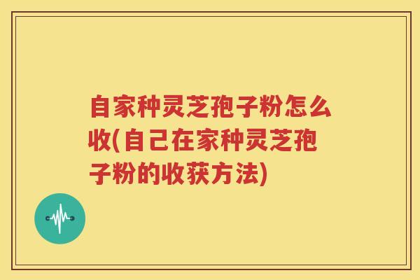 自家种灵芝孢子粉怎么收(自己在家种灵芝孢子粉的收获方法)