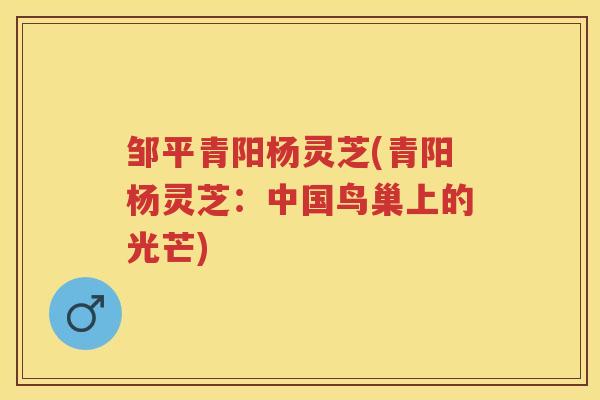 邹平青阳杨灵芝(青阳杨灵芝：中国鸟巢上的光芒)
