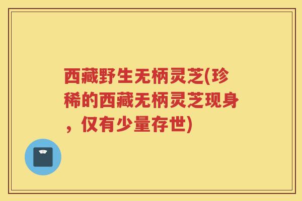西藏野生无柄灵芝(珍稀的西藏无柄灵芝现身，仅有少量存世)