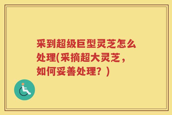 采到超级巨型灵芝怎么处理(采摘超大灵芝，如何妥善处理？)