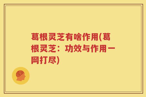 葛根灵芝有啥作用(葛根灵芝：功效与作用一网打尽)