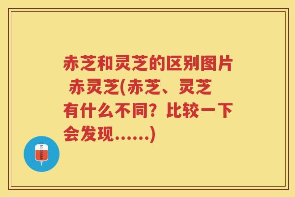 赤芝和灵芝的区别图片 赤灵芝(赤芝、灵芝有什么不同？比较一下会发现......)