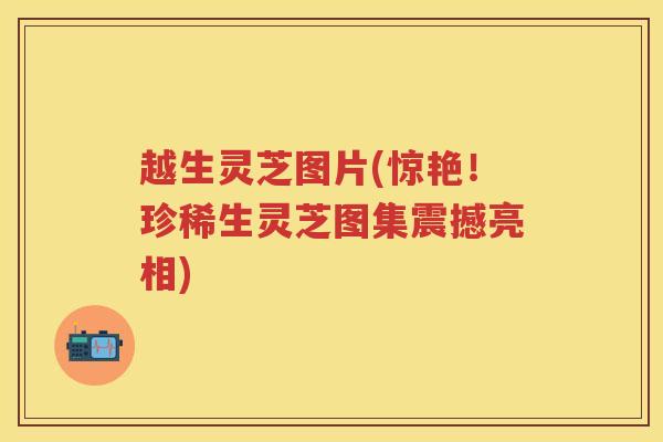 越生灵芝图片(惊艳！珍稀生灵芝图集震撼亮相)