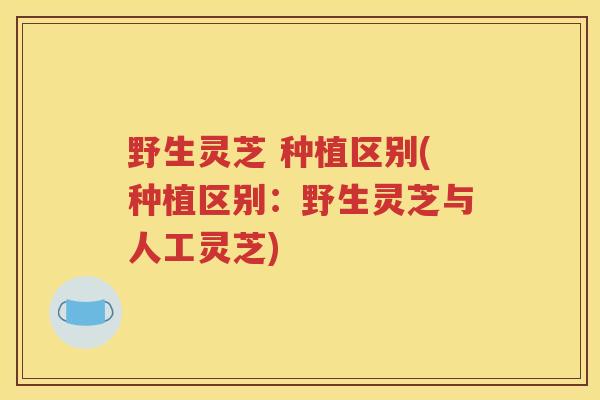 野生灵芝 种植区别(种植区别:野生灵芝与人工灵芝) 野生灵芝 种植区别(种植区别:野生灵芝与人工灵芝)