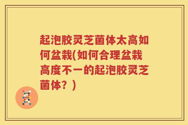 起泡胶灵芝菌体太高如何盆栽(如何合理盆栽高度不一的起泡胶灵芝菌体?) 起泡胶灵芝菌体太高如何盆栽(如何合理盆栽高度不一的起泡胶灵芝菌体?)