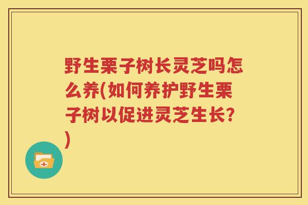 野生栗子树长灵芝吗怎么养(如何养护野生栗子树以促进灵芝生长？)