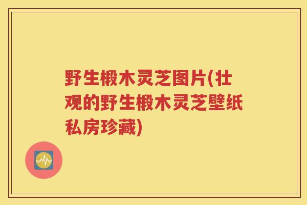 野生椴木灵芝图片(壮观的野生椴木灵芝壁纸私房珍藏) 野生椴木灵芝图片(壮观的野生椴木灵芝壁纸私房珍藏)