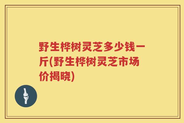 野生桦树灵芝多少钱一斤(野生桦树灵芝市场价揭晓) 野生桦树灵芝多少钱一斤(野生桦树灵芝市场价揭晓)