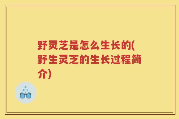 野灵芝是怎么生长的(野生灵芝的生长过程简介)