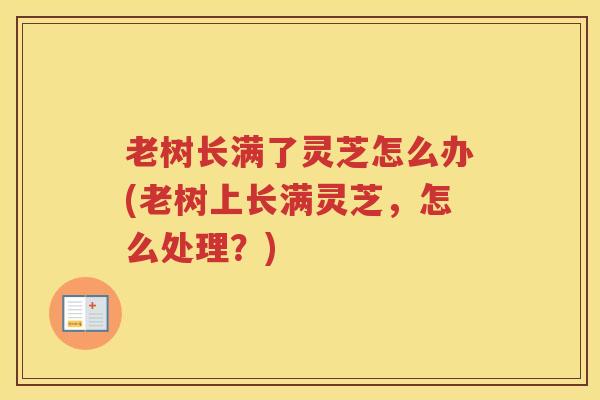 老树长满了灵芝怎么办(老树上长满灵芝，怎么处理？)