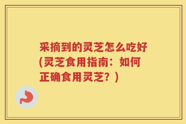 采摘到的灵芝怎么吃好(灵芝食用指南：如何正确食用灵芝？)