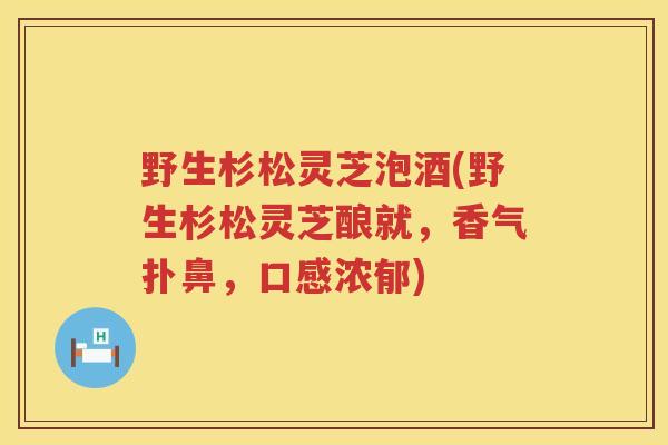野生杉松灵芝泡酒(野生杉松灵芝酿就，香气扑鼻，口感浓郁)