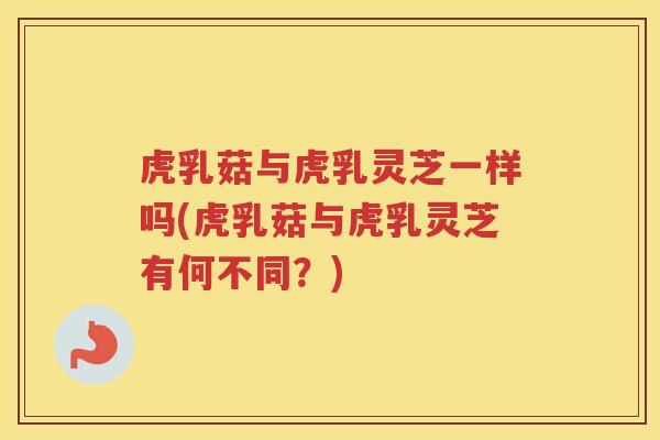 虎乳菇与虎乳灵芝一样吗(虎乳菇与虎乳灵芝有何不同？)