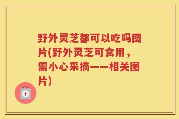 野外灵芝都可以吃吗图片(野外灵芝可食用,需小心采摘——相关图片) 野外灵芝都可以吃吗图片(野外灵芝可食用,需小心采摘——相关图片)