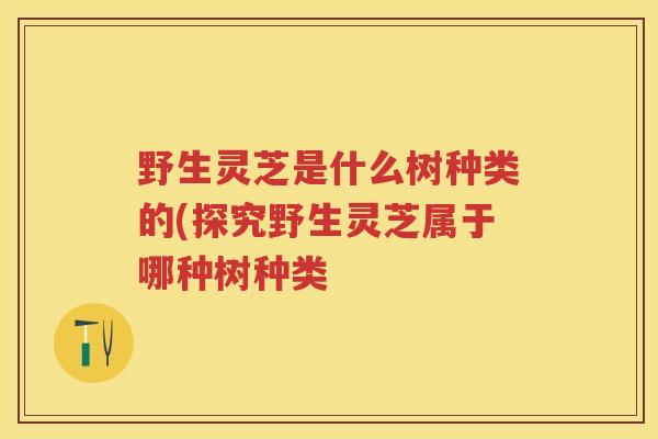 野生灵芝是什么树种类的(探究野生灵芝属于哪种树种类