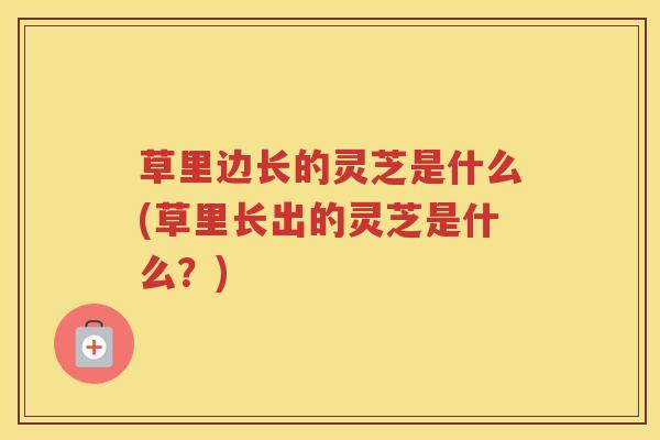 草里边长的灵芝是什么(草里长出的灵芝是什么?) 草里边长的灵芝是什么(草里长出的灵芝是什么?)