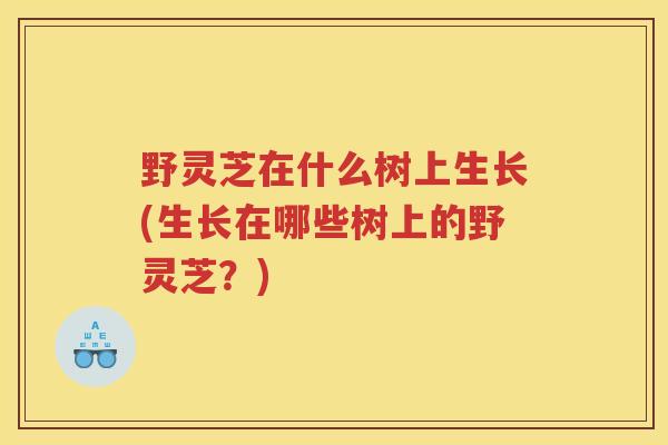 野灵芝在什么树上生长(生长在哪些树上的野灵芝？)