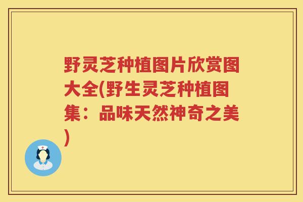 野灵芝种植图片欣赏图大全(野生灵芝种植图集：品味天然神奇之美)