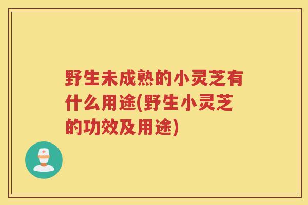 野生未成熟的小灵芝有什么用途(野生小灵芝的功效及用途) 野生未成熟的小灵芝有什么用途(野生小灵芝的功效及用途)