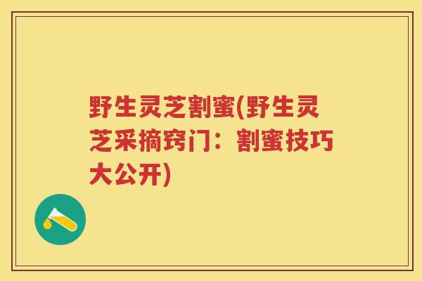 野生灵芝割蜜(野生灵芝采摘窍门：割蜜技巧大公开)