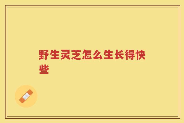 野生灵芝怎么生长得快些 野生灵芝怎么生长得快些