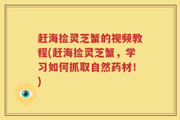 赶海捡灵芝蟹的视频教程(赶海捡灵芝蟹，学习如何抓取自然药材！)