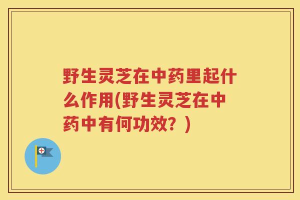 野生灵芝在里起什么作用(野生灵芝在中有何功效？)