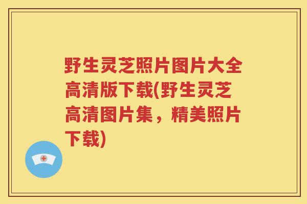 野生灵芝照片图片大全高清版下载(野生灵芝高清图片集，精美照片下载)