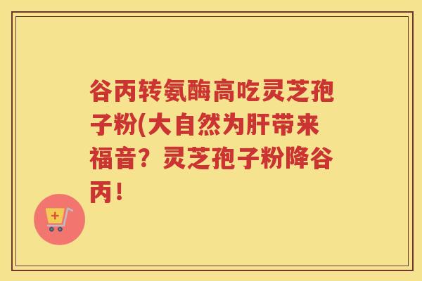 谷丙转氨酶高吃灵芝孢子粉(大自然为带来福音？灵芝孢子粉降谷丙！