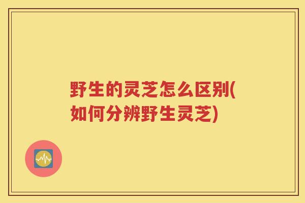 野生的灵芝怎么区别(如何分辨野生灵芝)