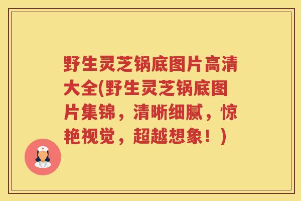 野生灵芝锅底图片高清大全(野生灵芝锅底图片集锦，清晰细腻，惊艳视觉，超越想象！)