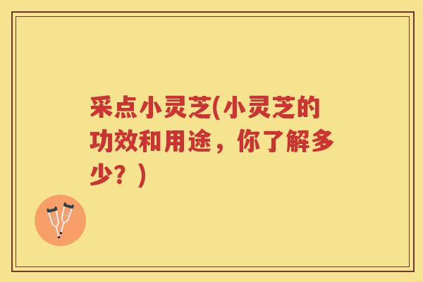 采点小灵芝(小灵芝的功效和用途，你了解多少？)