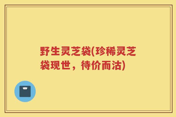 野生灵芝袋(珍稀灵芝袋现世，待价而沽)