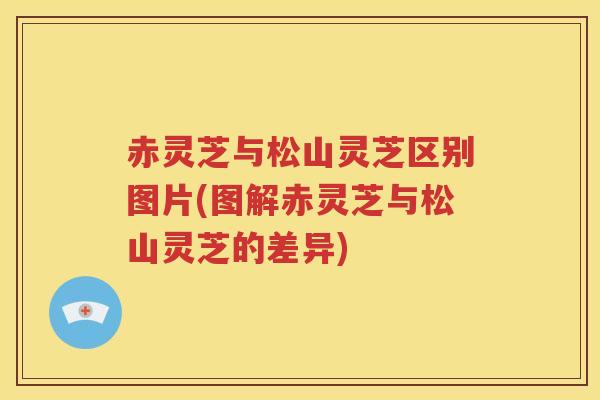 赤灵芝与松山灵芝区别图片(图解赤灵芝与松山灵芝的差异)