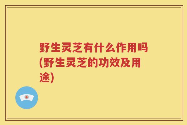 野生灵芝有什么作用吗(野生灵芝的功效及用途)