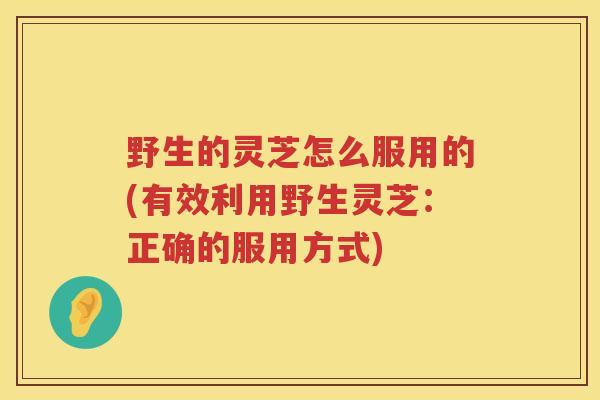 野生的灵芝怎么服用的(有效利用野生灵芝：正确的服用方式)