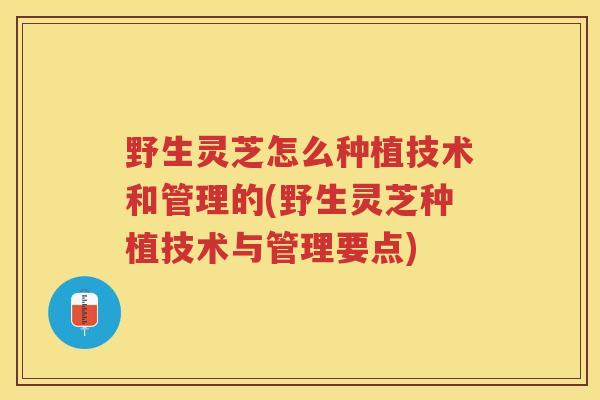 野生灵芝怎么种植技术和管理的(野生灵芝种植技术与管理要点) 野生灵芝怎么种植技术和管理的(野生灵芝种植技术与管理要点)