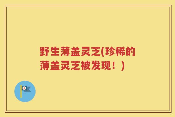 野生薄盖灵芝(珍稀的薄盖灵芝被发现！)